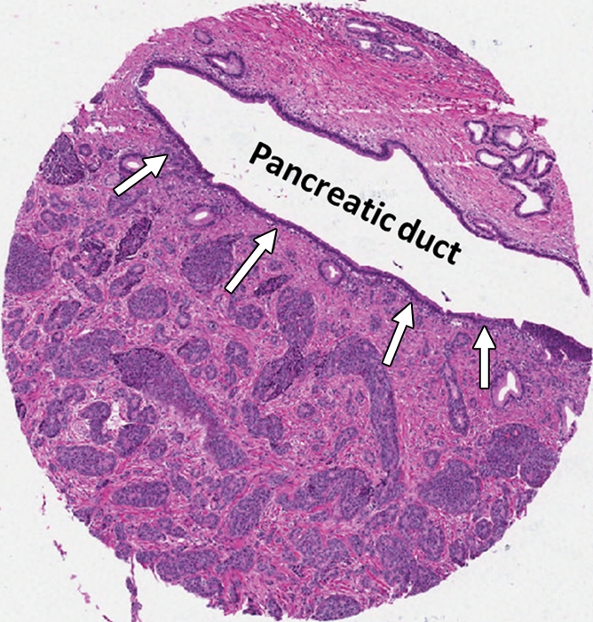 Figure 7a: