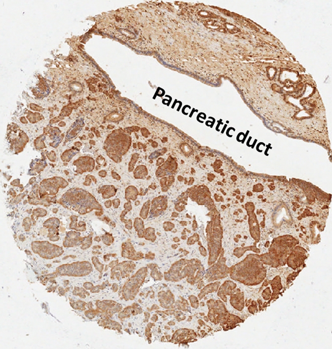 Figure 7b: