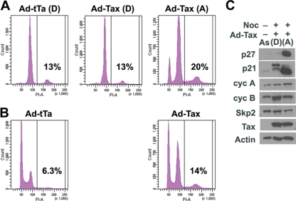 FIG. 2.