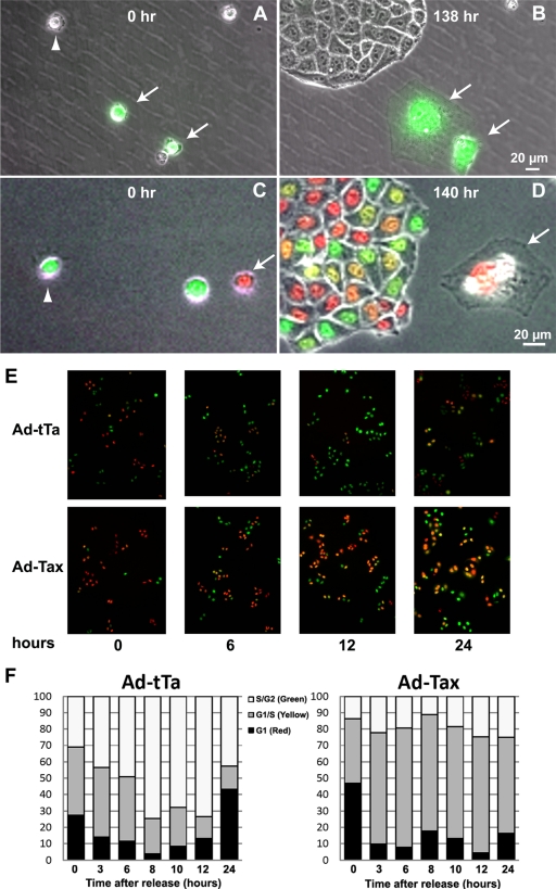 FIG. 4.