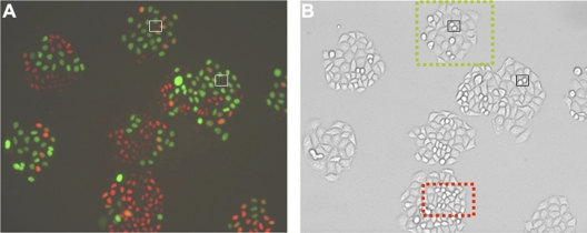 FIG. 3.