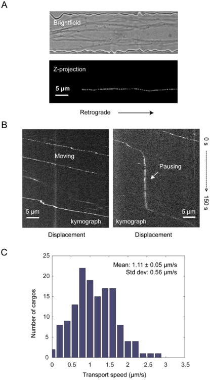 Fig. 5