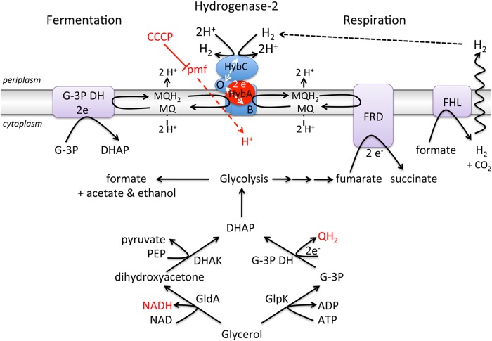 FIG 7