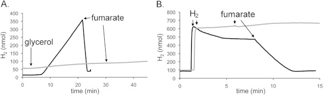 FIG 3