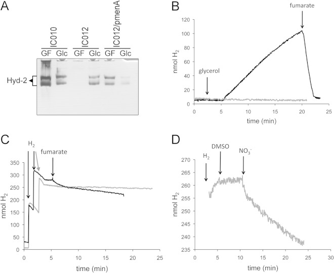 FIG 2