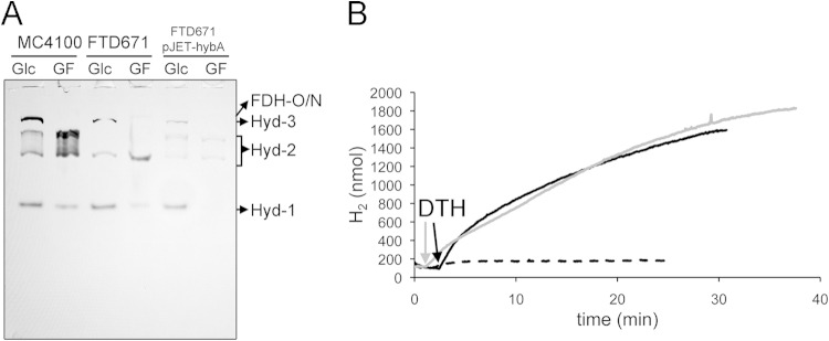 FIG 4