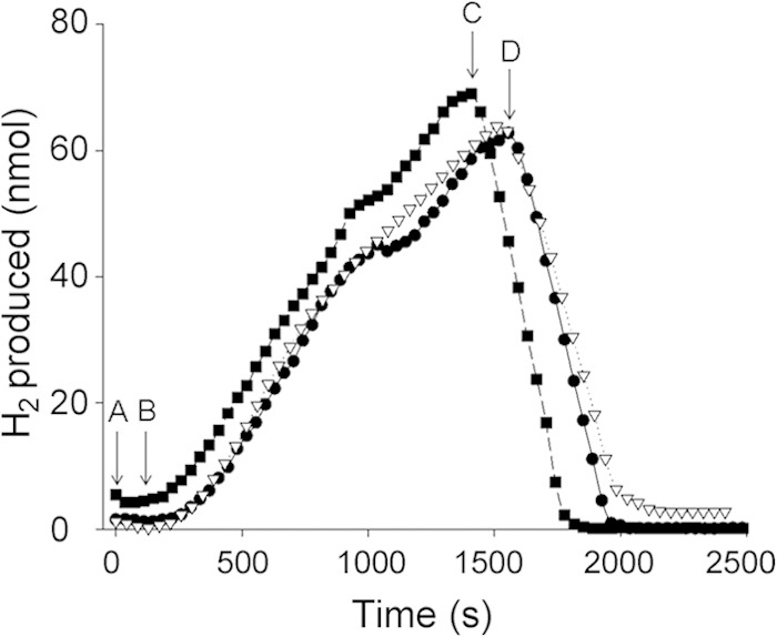 FIG 1