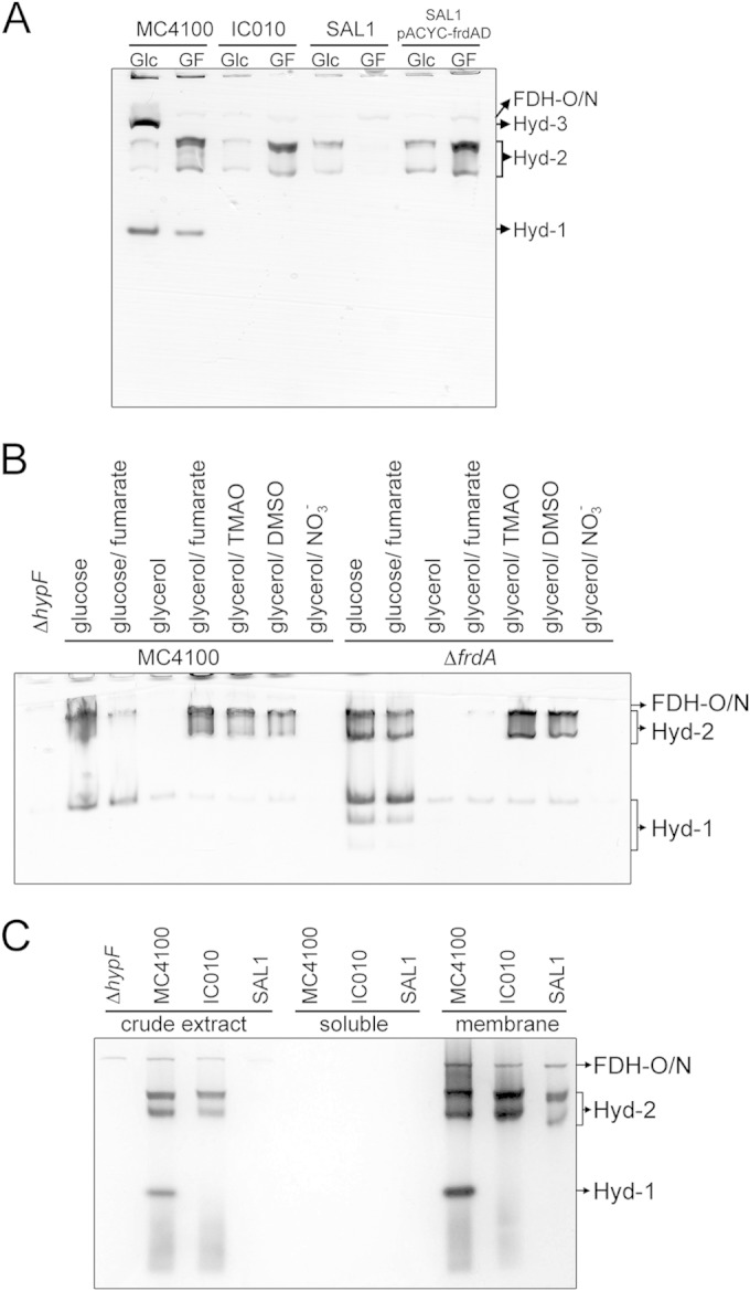 FIG 6