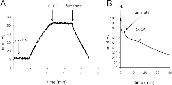 FIG 5