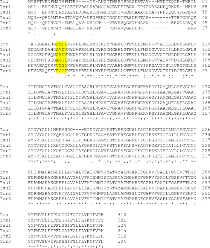 Figure 1—figure supplement 1.