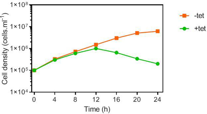 Figure 5—figure supplement 1.