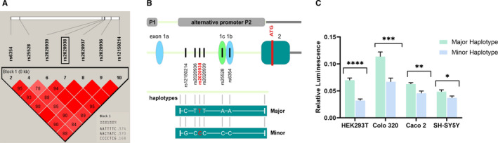 FIGURE 2