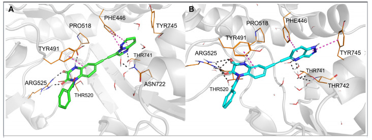 Figure 6