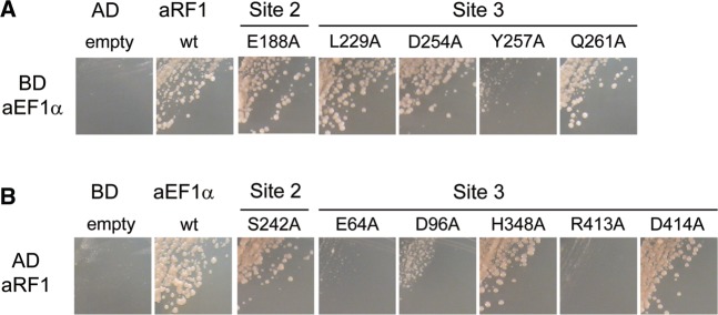 Figure 3.