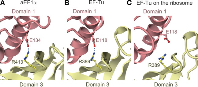 Figure 7.