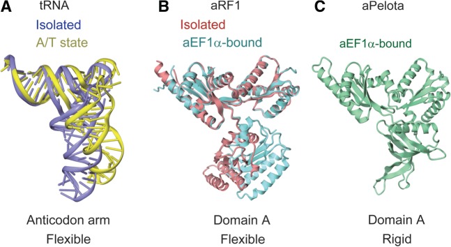 Figure 6.