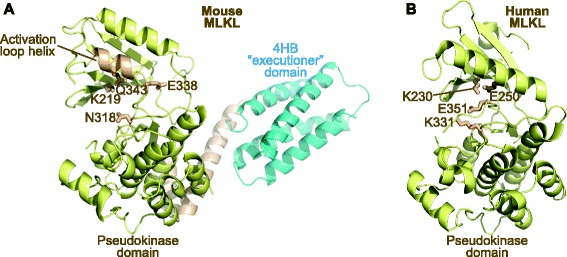 Fig. 2.