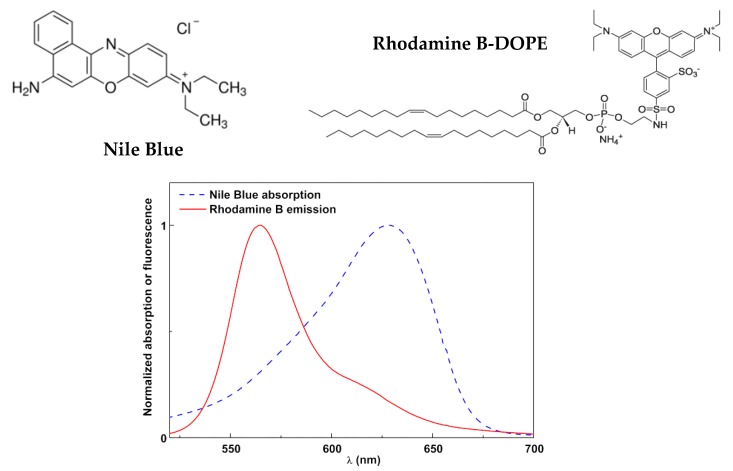 Figure 9