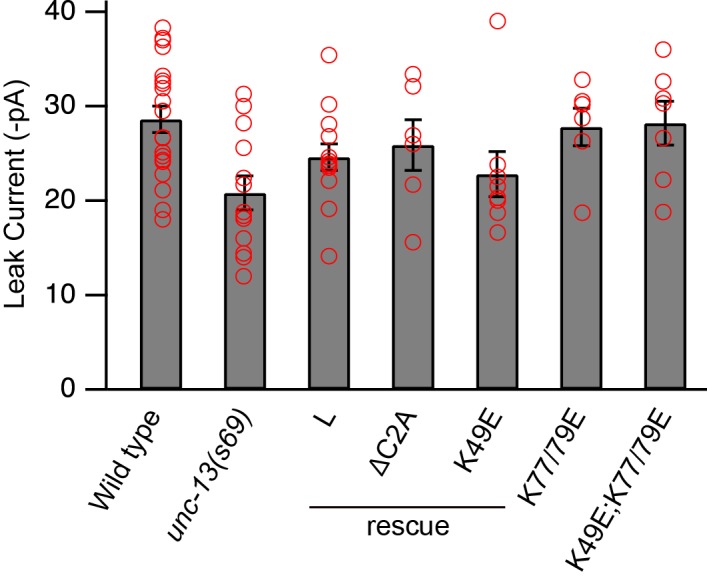 Figure 3—figure supplement 1.