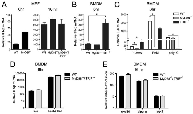 FIGURE 4