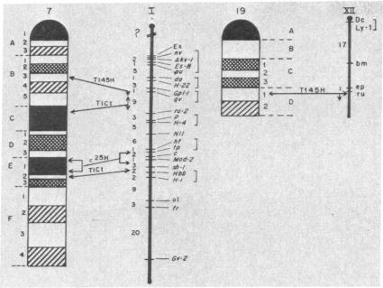 graphic file with name pnas00014-0419-a.jpg