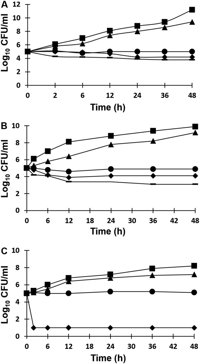 FIG 2