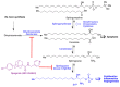 Figure 28