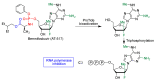 Figure 20