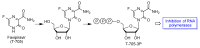 Figure 21