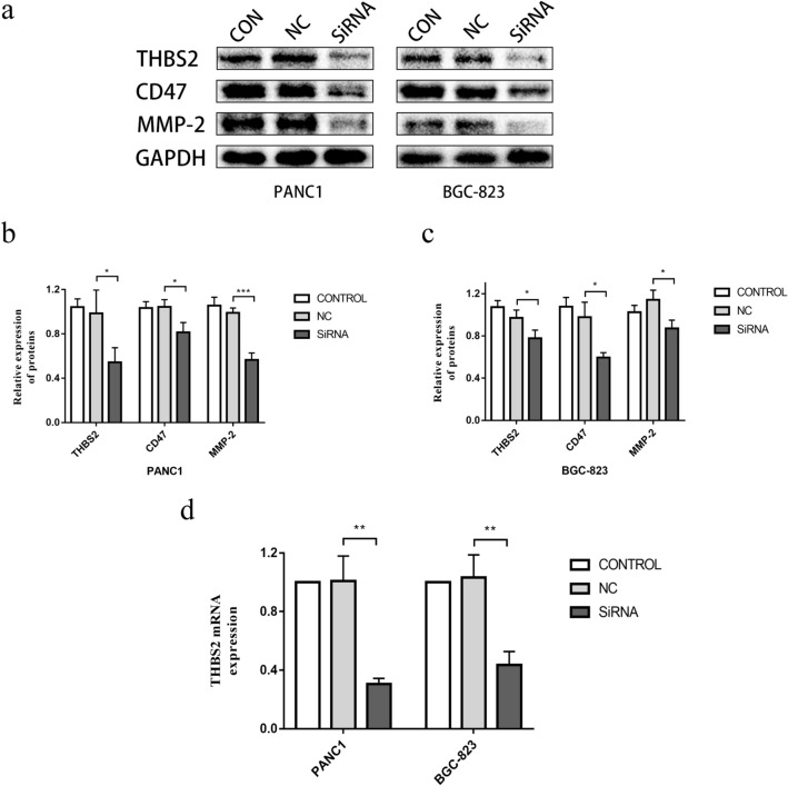 Fig. 12