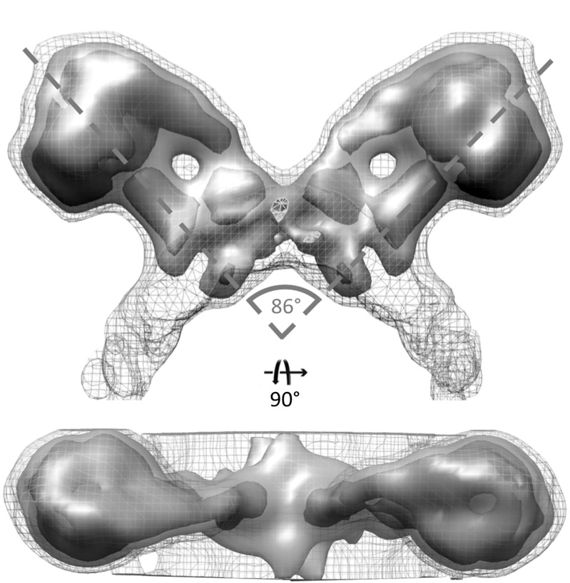 Fig. 1.