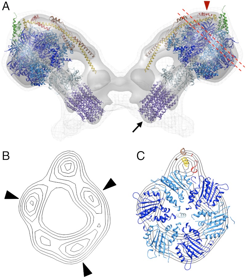 Fig. 2.