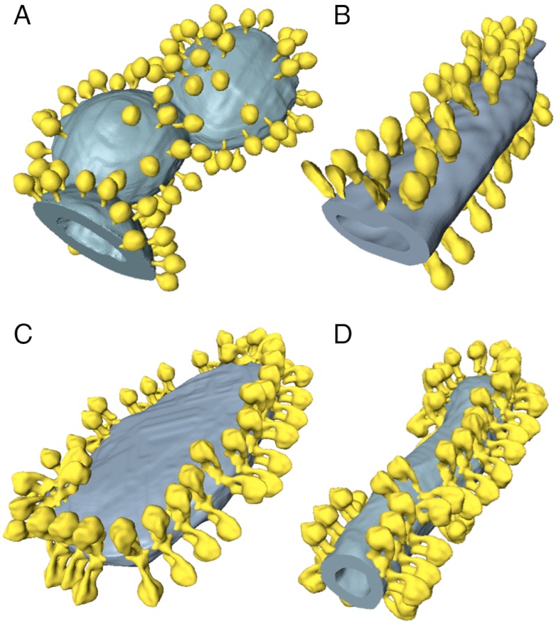 Fig. 4.