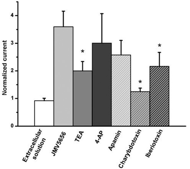 FIGURE 4