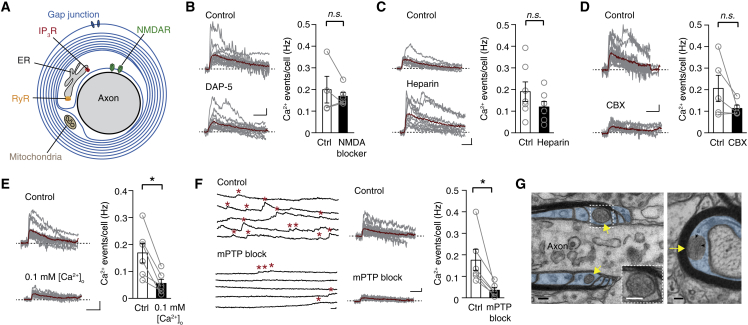 Figure 6