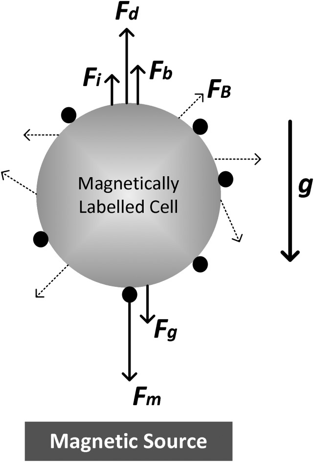 FIG. 1.