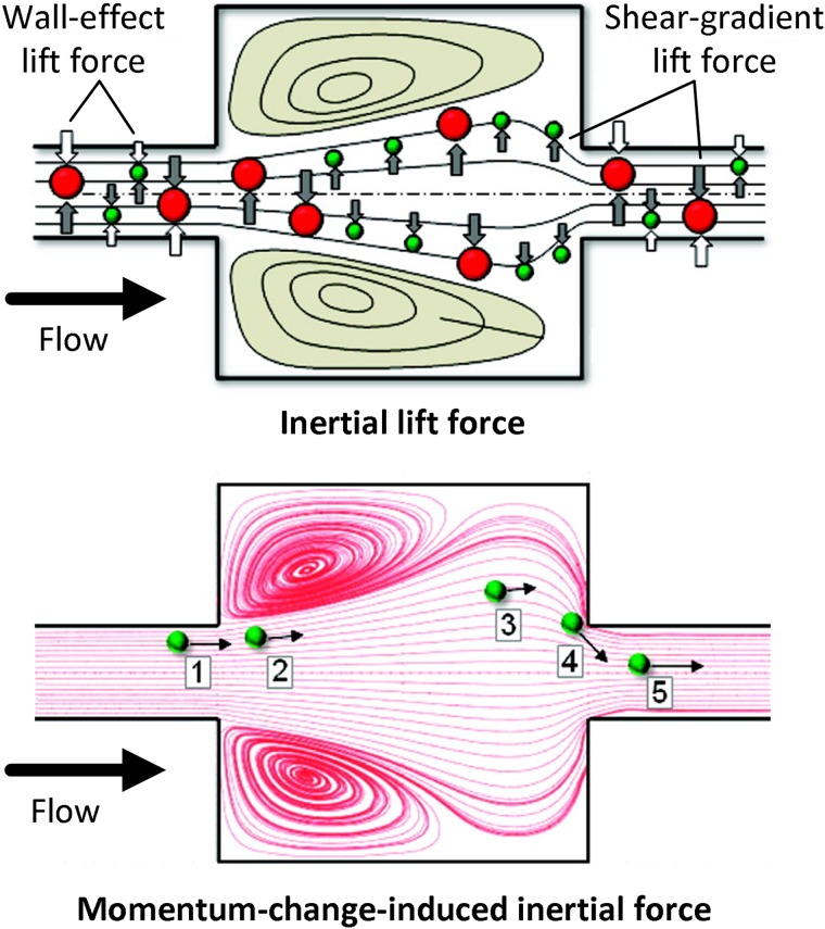 FIG. 4.