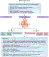 Fig. 3 |