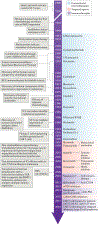 Fig. 2 |
