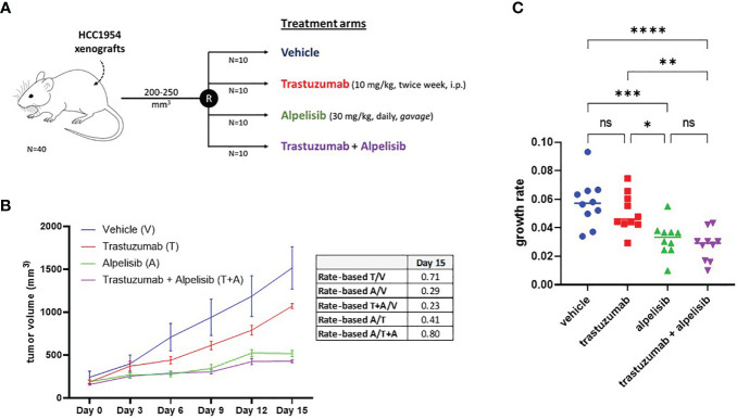 Figure 5