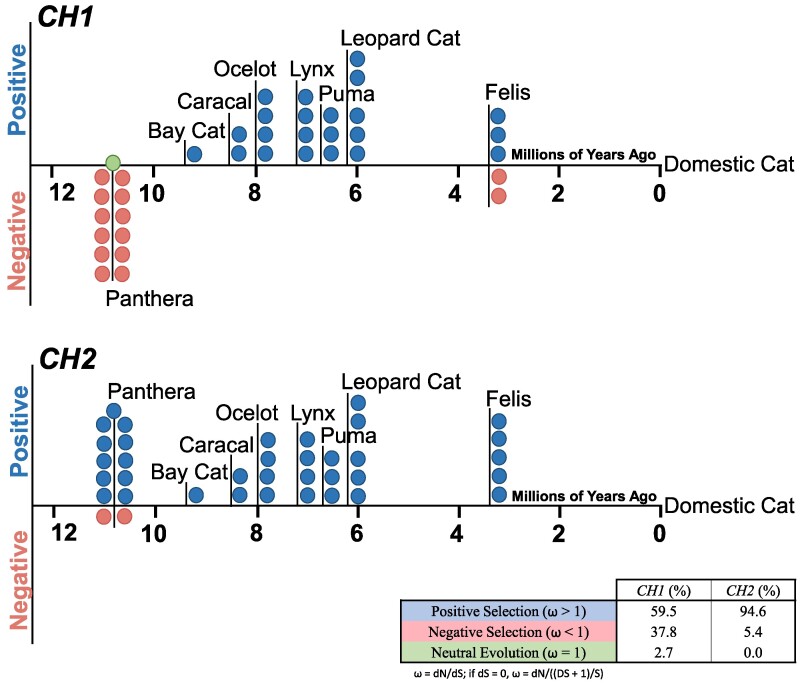 Fig. 4: