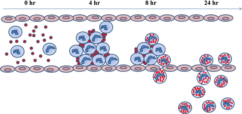 Fig. 5. 