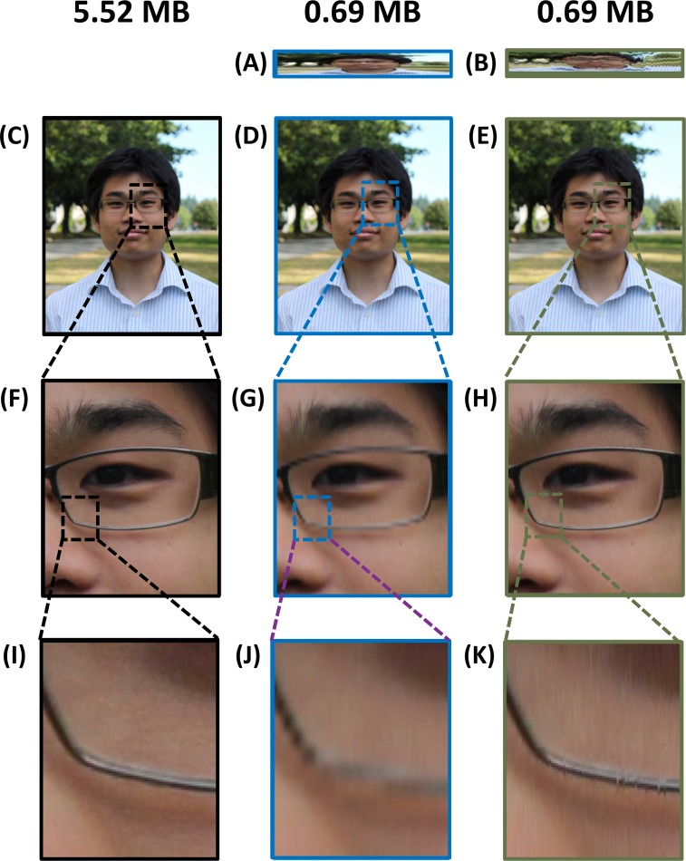 Fig 6