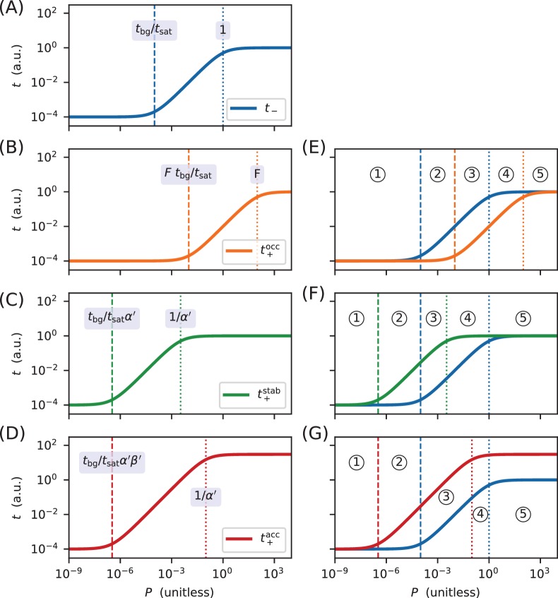 Appendix 4—figure 1.