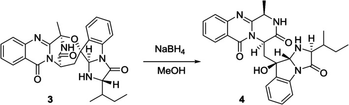 Fig. 9