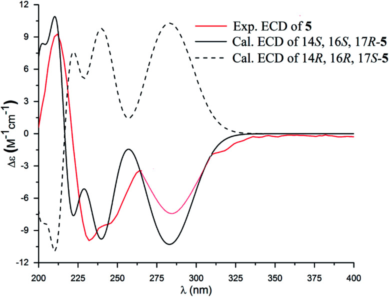 Fig. 10