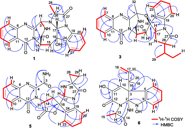 Fig. 2