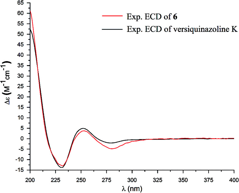 Fig. 11