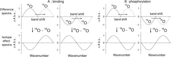 SCHEME 3