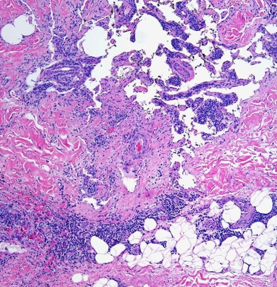 Fig. 6